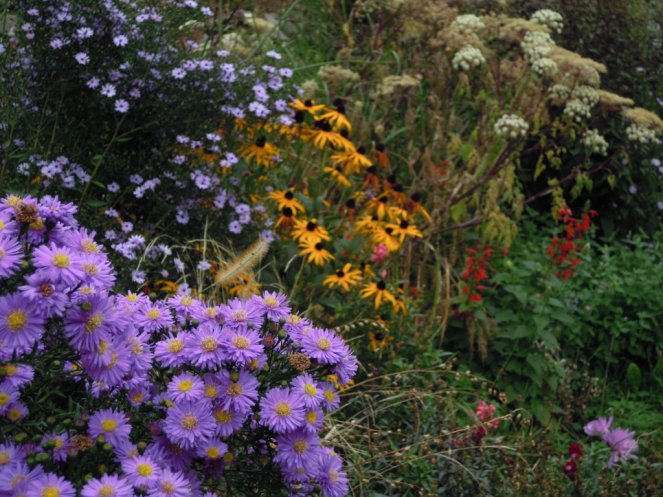 DSCN8090 (FILEminimizer)