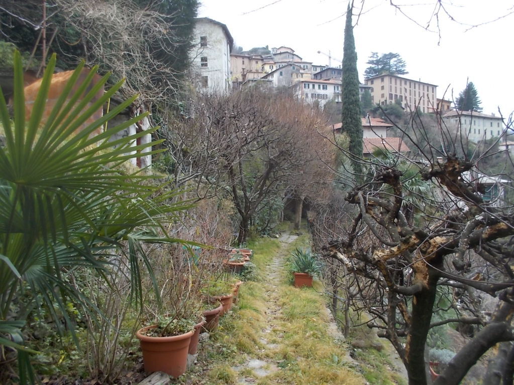 DSCN3239 (FILEminimizer)