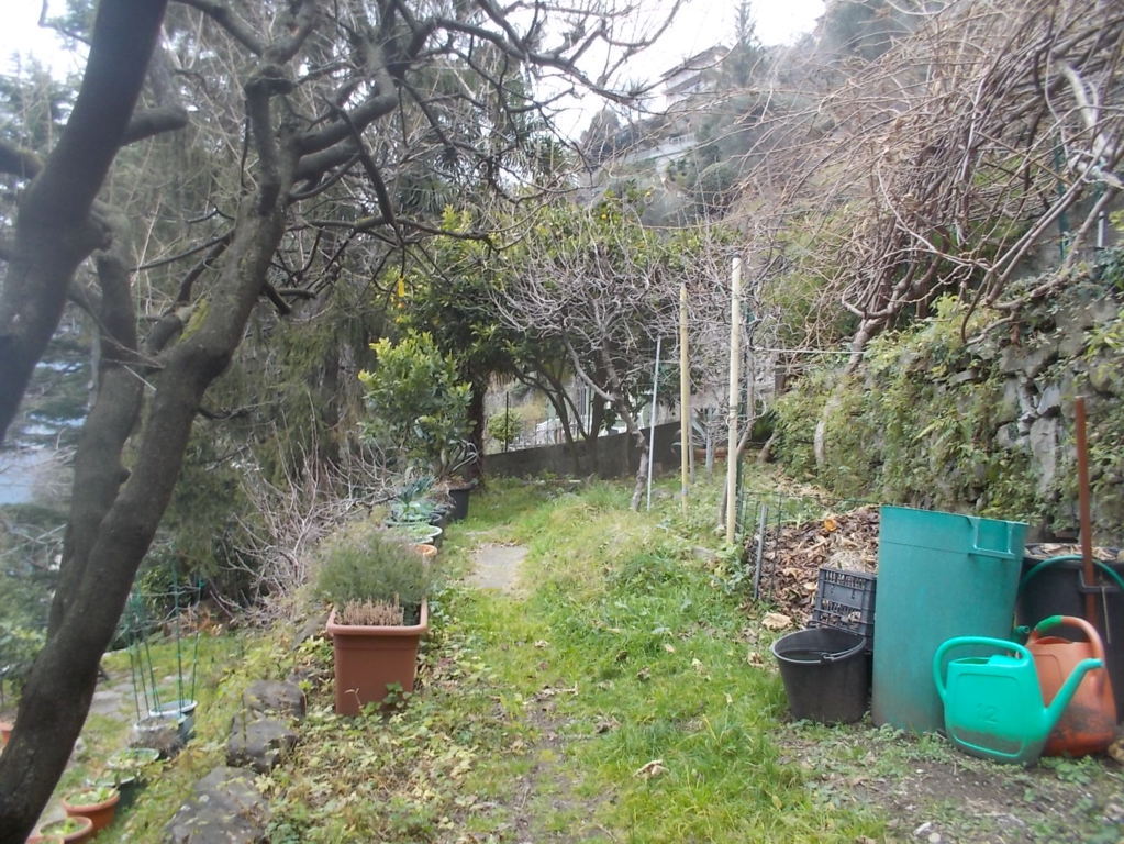 DSCN3240 (FILEminimizer)