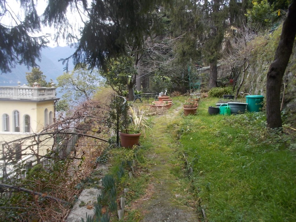 DSCN3243 (FILEminimizer)