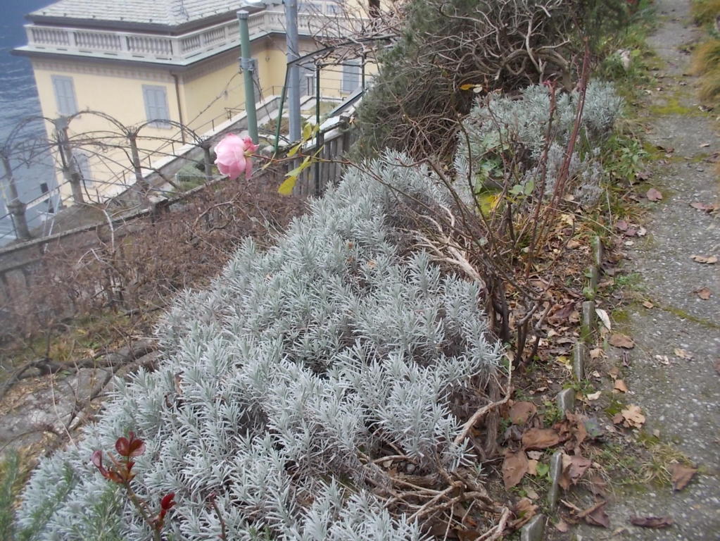 DSCN3244 (FILEminimizer)