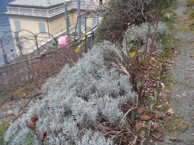 DSCN3244 (FILEminimizer)