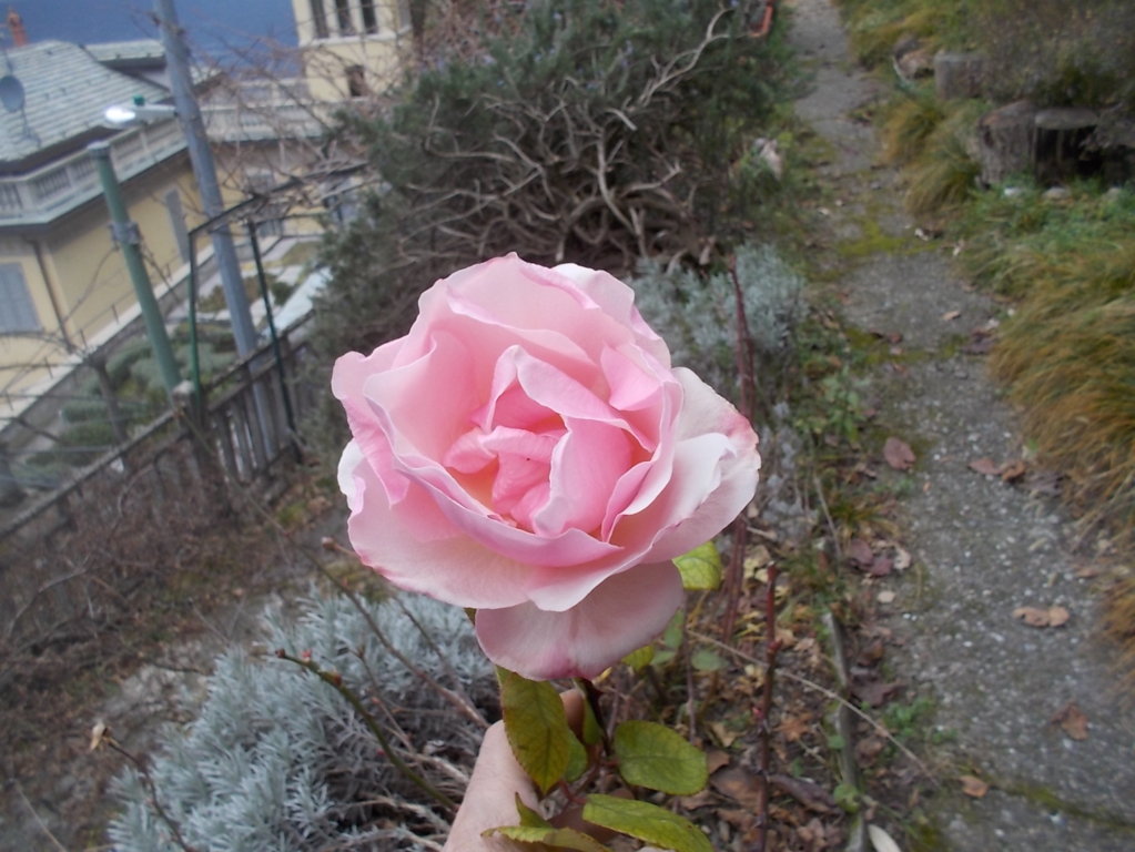 DSCN3245 (FILEminimizer)