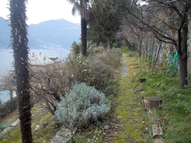 DSCN3247 (FILEminimizer)