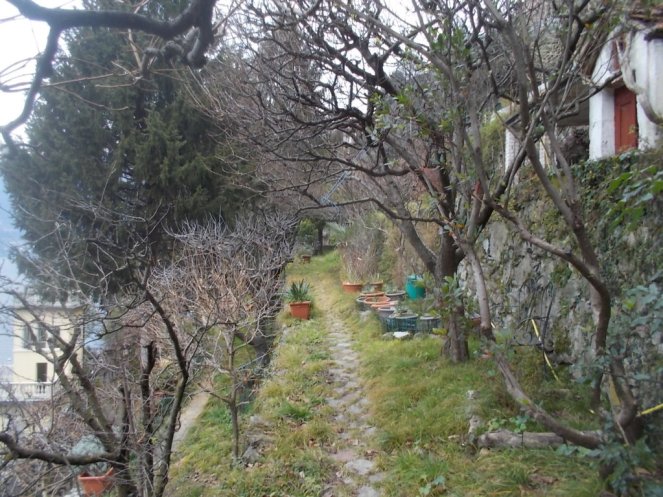 DSCN3248 (FILEminimizer)