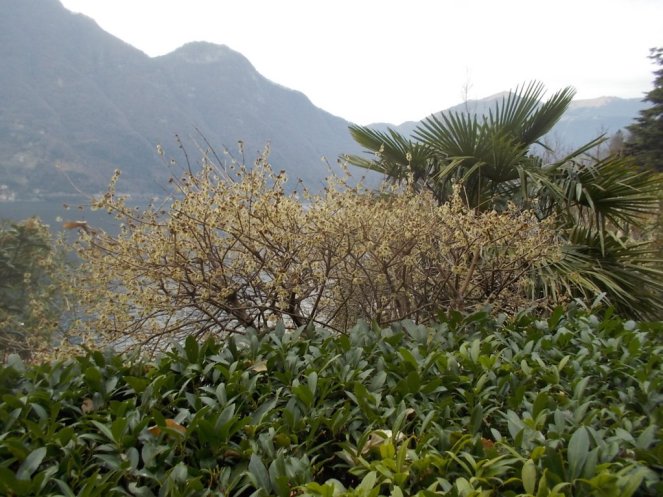 DSCN3249 (FILEminimizer)