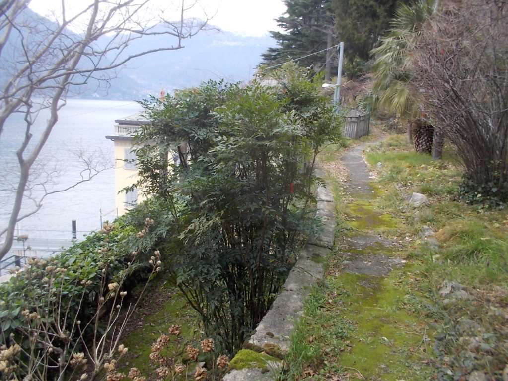 DSCN3250 (FILEminimizer)