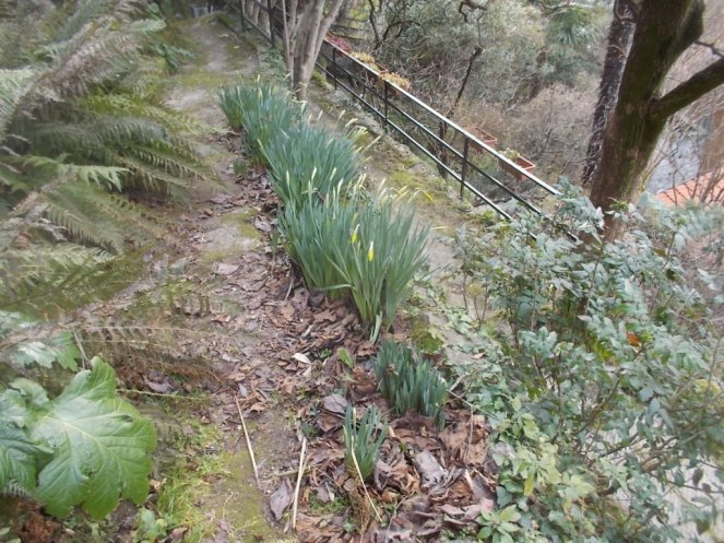 DSCN3259 (FILEminimizer)