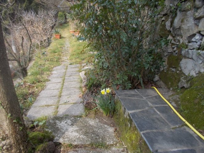 DSCN3269 (FILEminimizer)