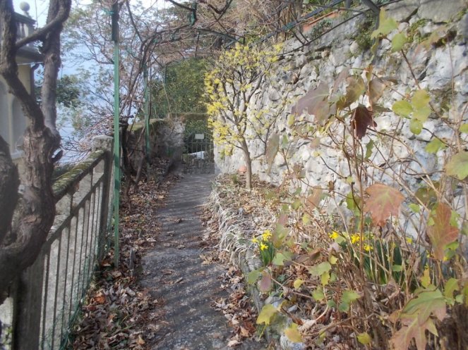 DSCN3279 (FILEminimizer)