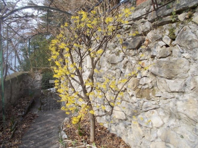 DSCN3280 (FILEminimizer)