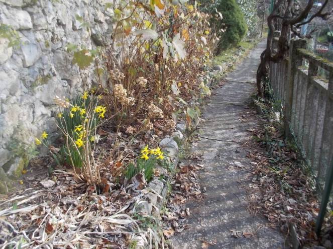 DSCN3283 (FILEminimizer)