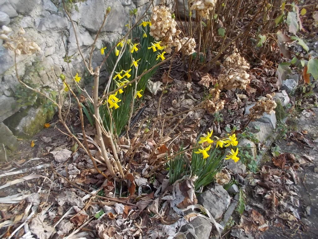 DSCN3284 (FILEminimizer)