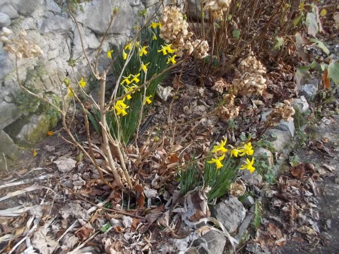 DSCN3284 (FILEminimizer)