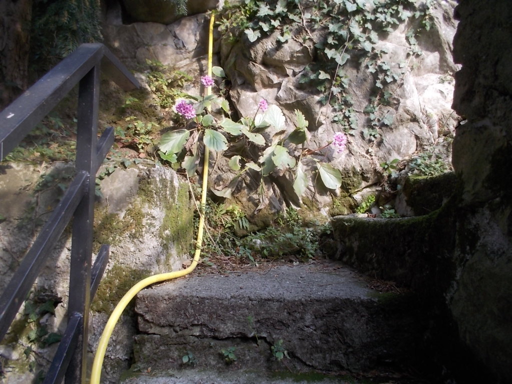 DSCN3286 (FILEminimizer)