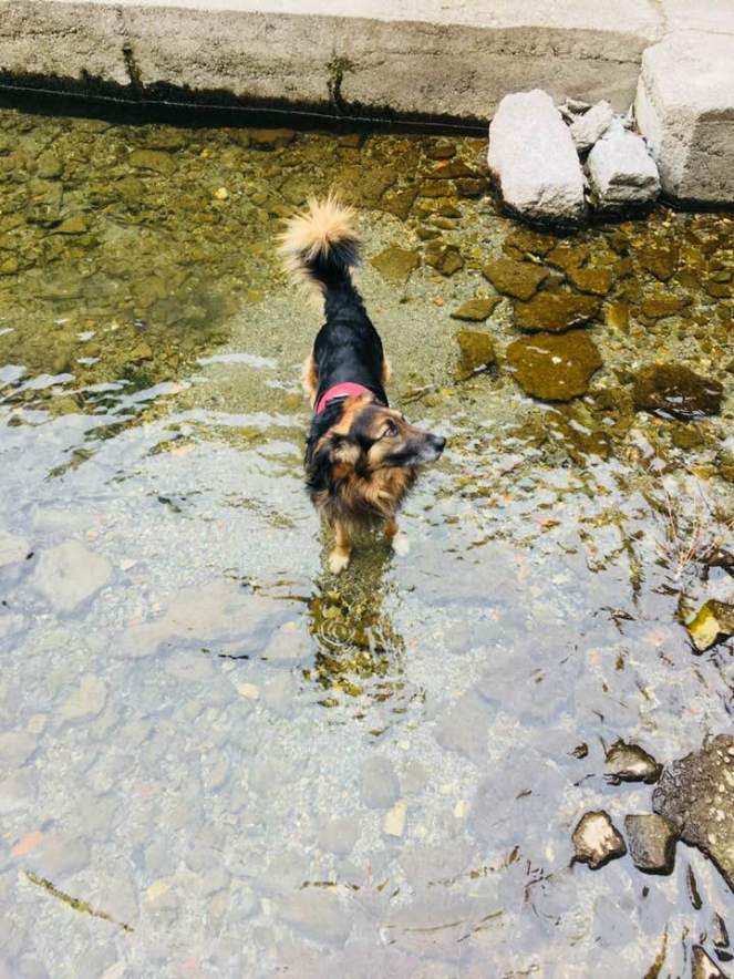 89910692_10221797268270892_7804562348336742400_n