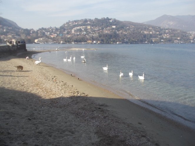 DSCN3297 (FILEminimizer)