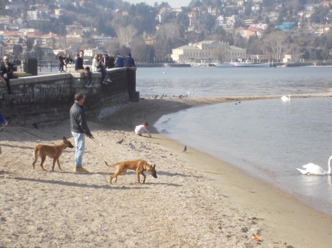 DSCN3299 (FILEminimizer)