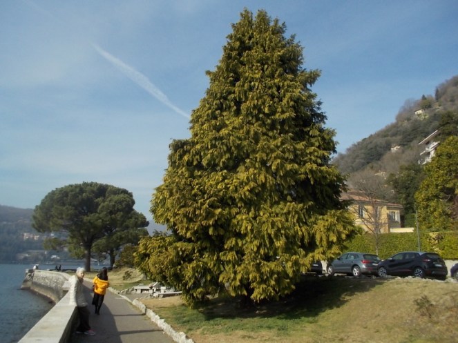 DSCN3300 (FILEminimizer)