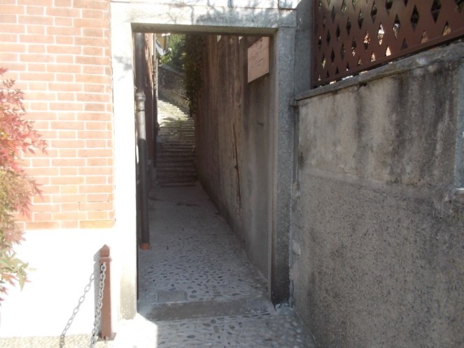 DSCN3302 (FILEminimizer)