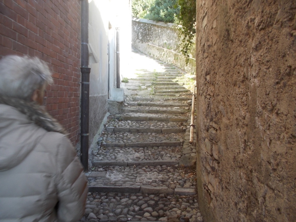 DSCN3304 (FILEminimizer)