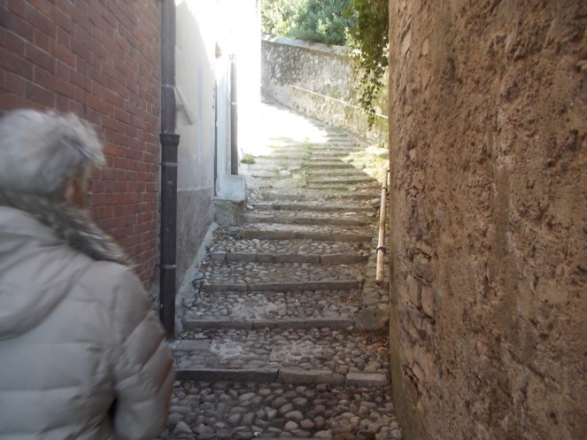 DSCN3304 (FILEminimizer)