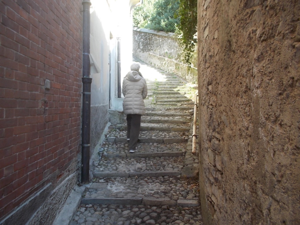 DSCN3305 (FILEminimizer)