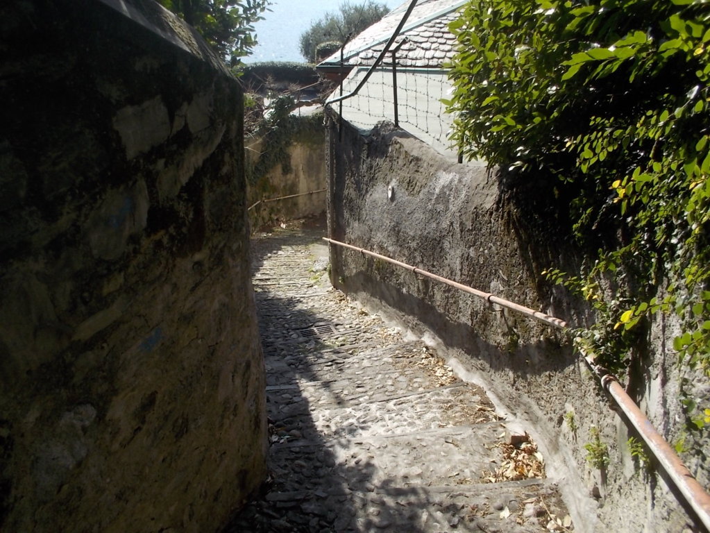 DSCN3306 (FILEminimizer)