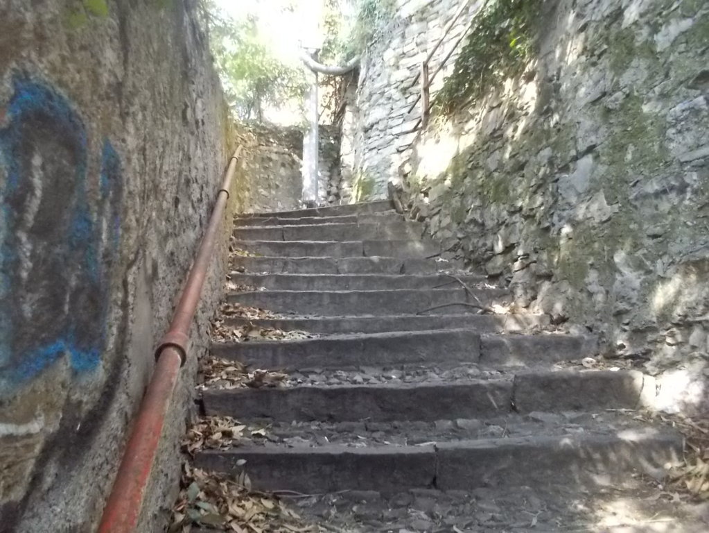 DSCN3307 (FILEminimizer)