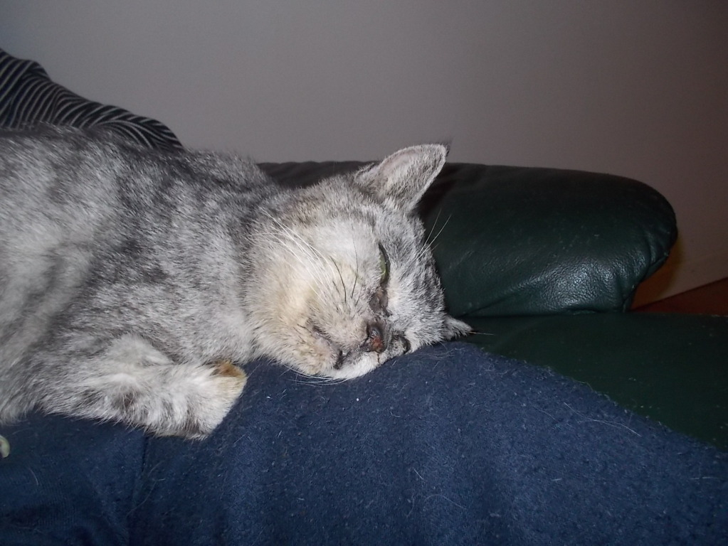 DSCN3311 (FILEminimizer)