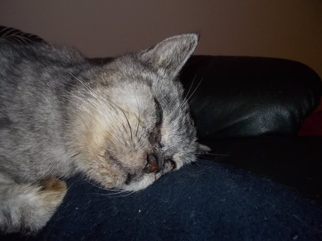 DSCN3312 (FILEminimizer)