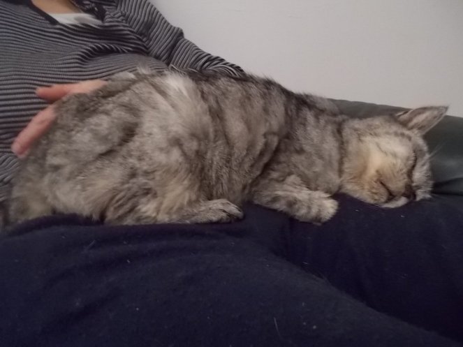 DSCN3313 (FILEminimizer)