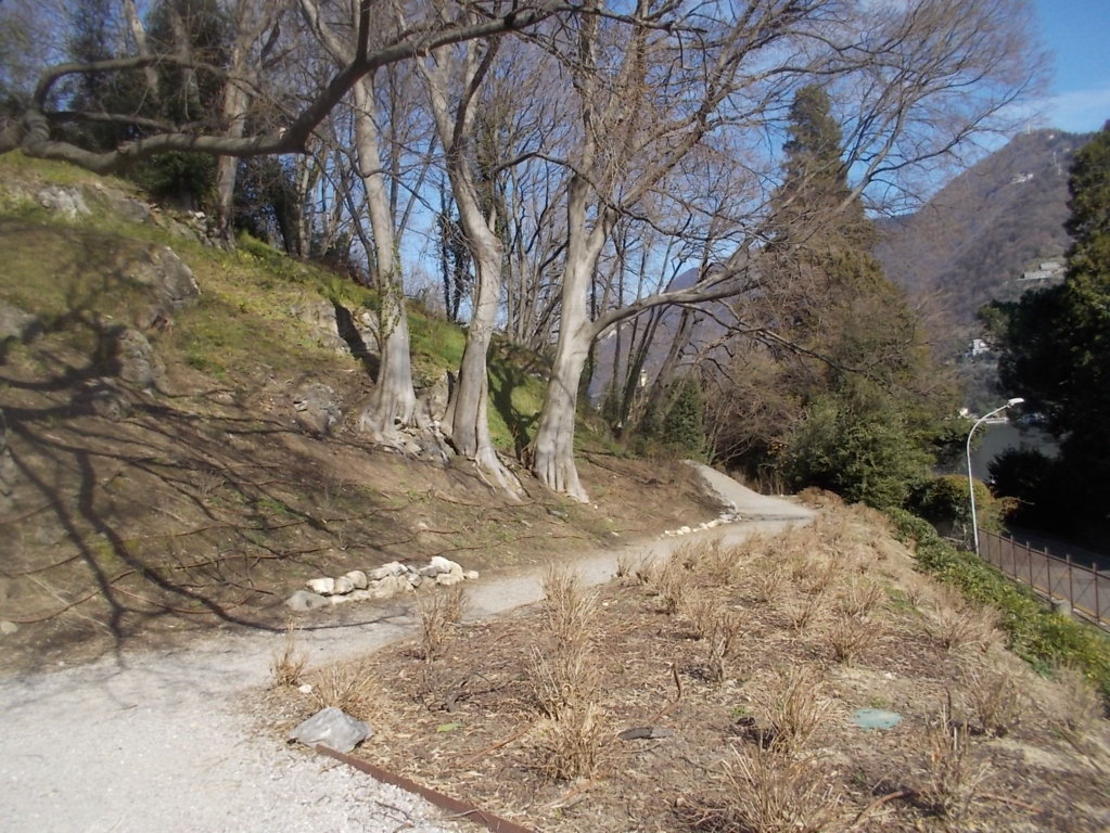 DSCN3314 (FILEminimizer)