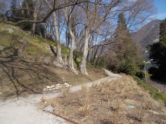 DSCN3314 (FILEminimizer)