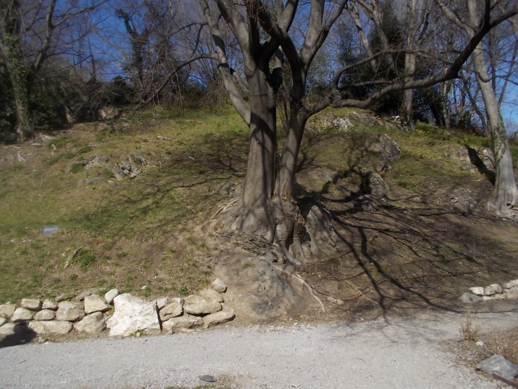 DSCN3315 (FILEminimizer)