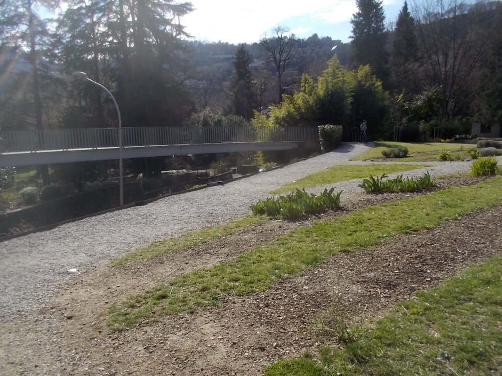 DSCN3317 (FILEminimizer)