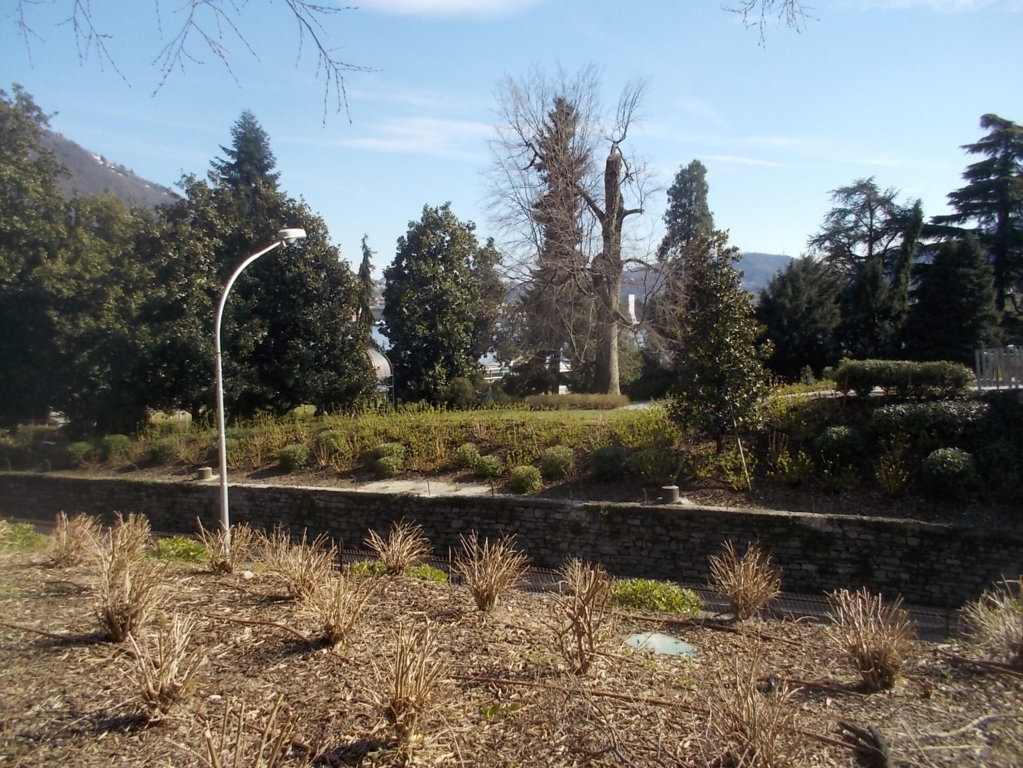 DSCN3319 (FILEminimizer)