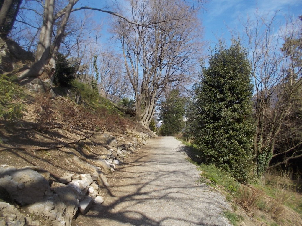 DSCN3320 (FILEminimizer)