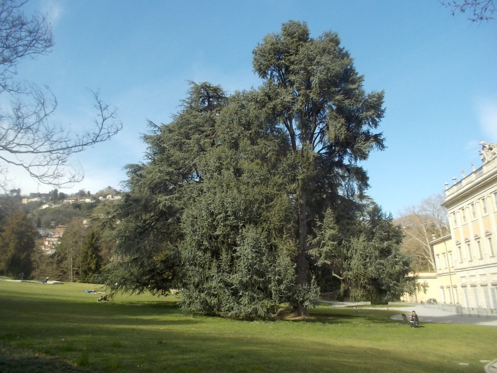 DSCN3325 (FILEminimizer)