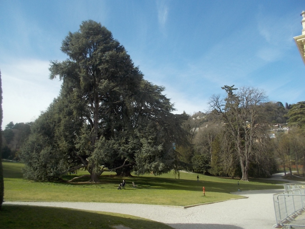 DSCN3326 (FILEminimizer)