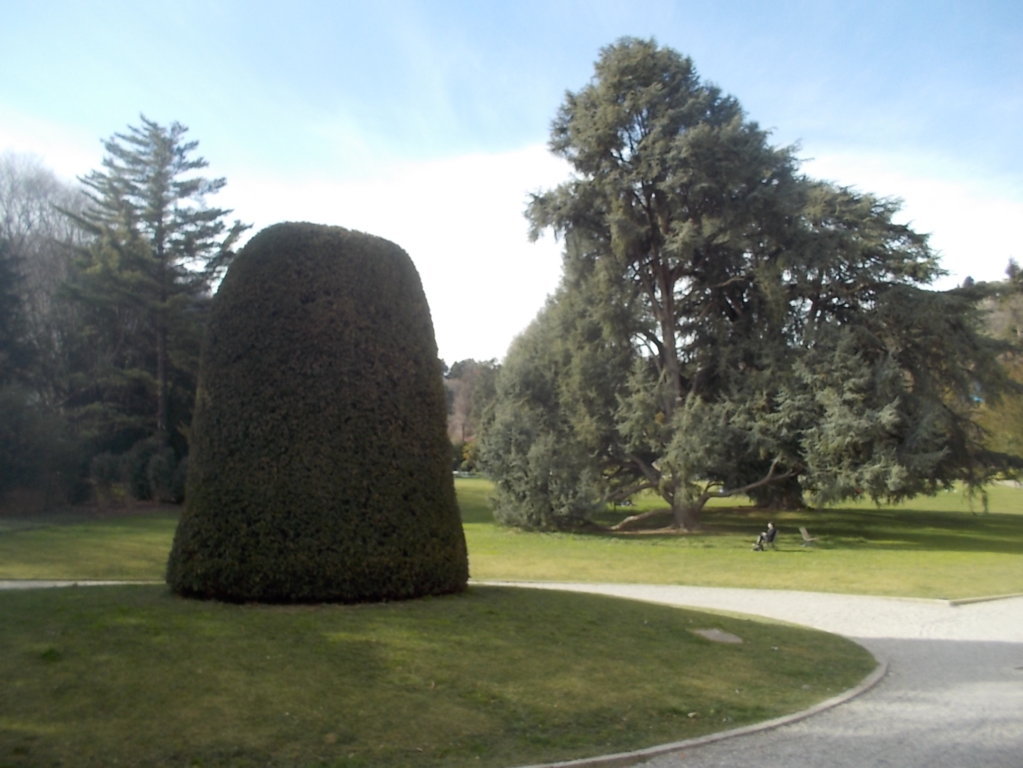 DSCN3327 (FILEminimizer)