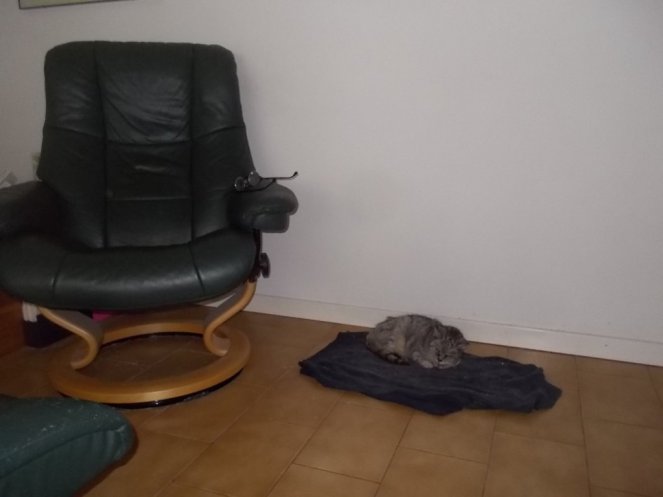 DSCN3328 (FILEminimizer)