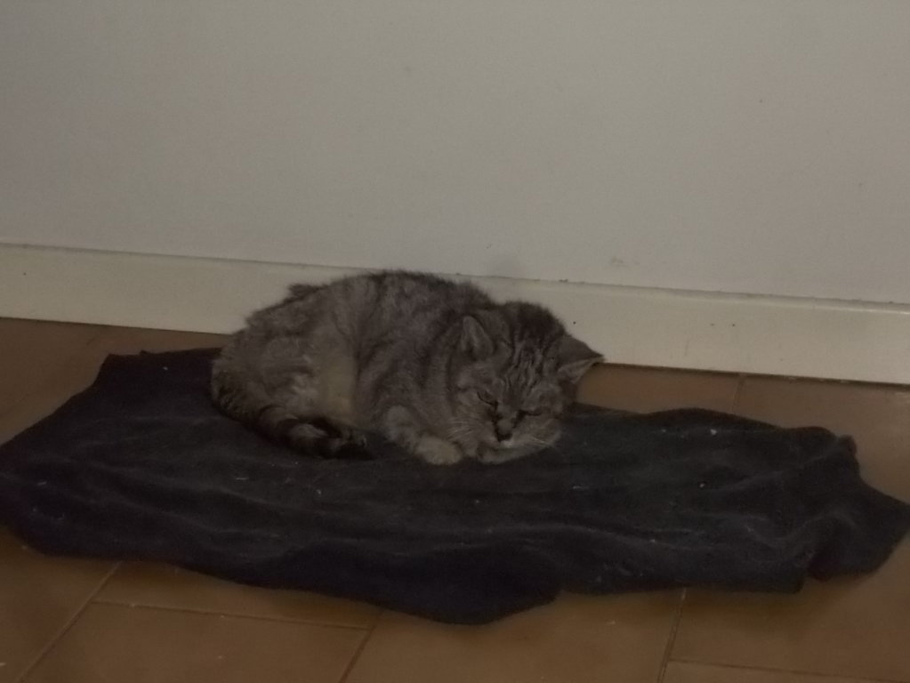 DSCN3329 (FILEminimizer)