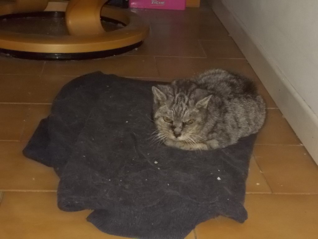 DSCN3333 (FILEminimizer)