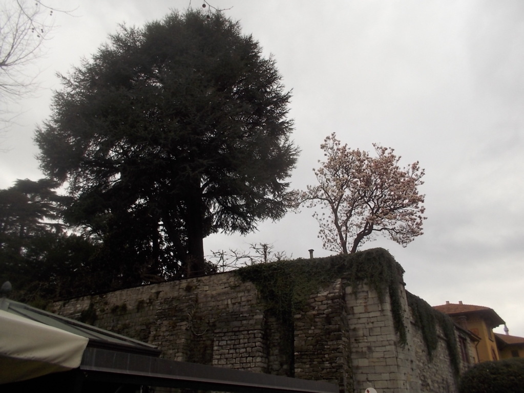 DSCN3336 (FILEminimizer)