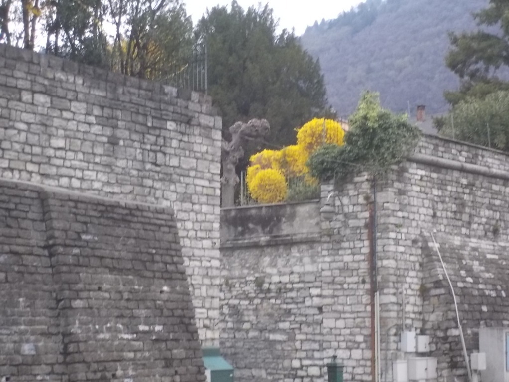 DSCN3339 (FILEminimizer)