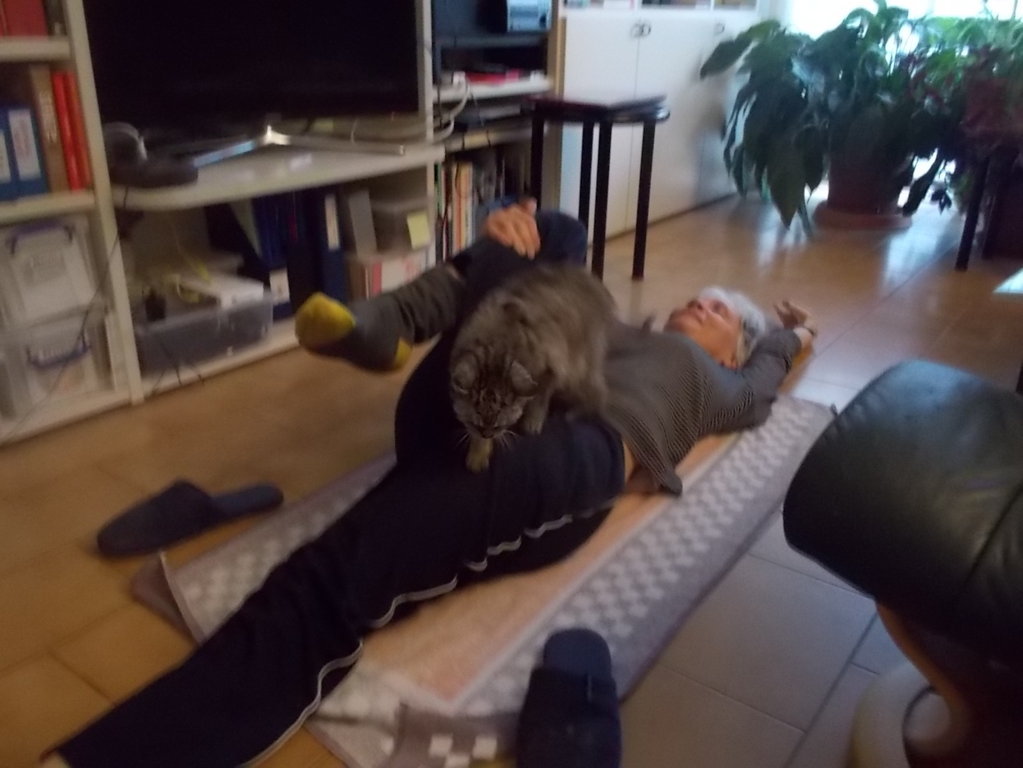 DSCN3362 (FILEminimizer)