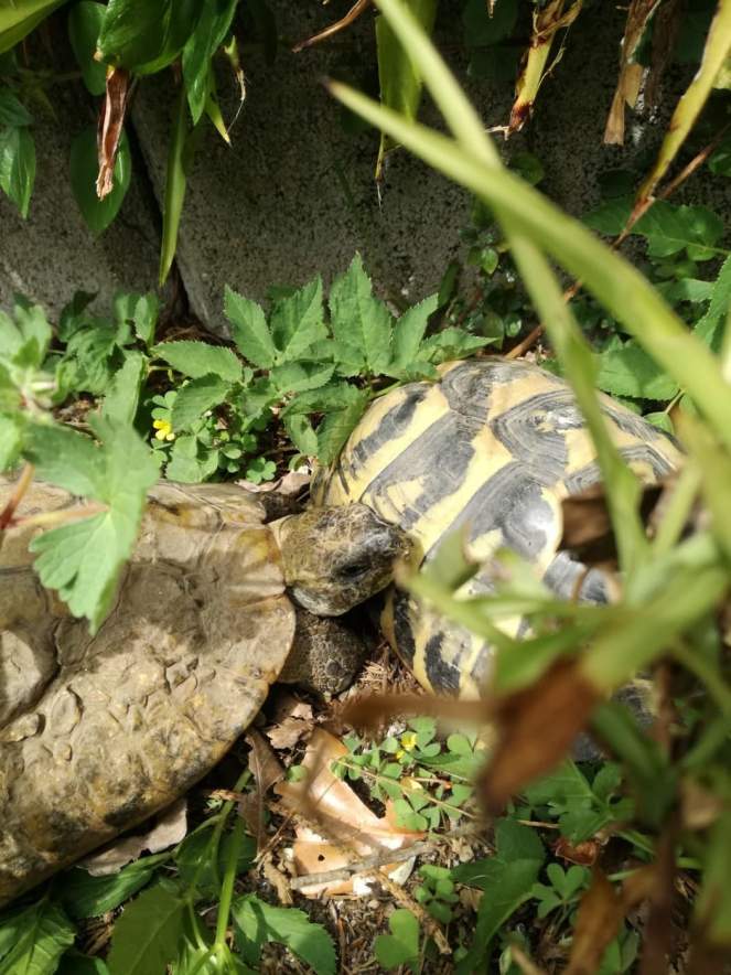 93232548_300739647577376_8851358273371111424_n