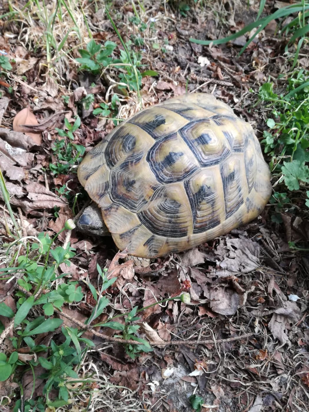 93796010_658029025035300_3024921556489863168_n