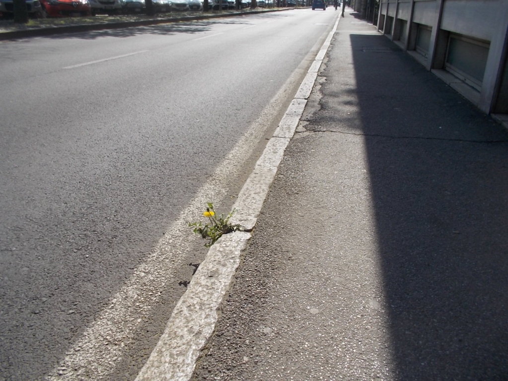 DSCN3366 (FILEminimizer)